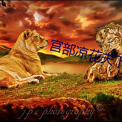 宮部涼花夫下屬中文字幕