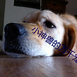 小(xiǎo)神兽的万千宠爱[娱(yú)乐(lè)圈]