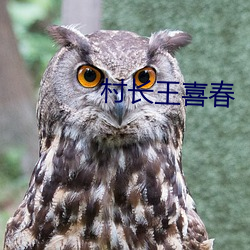 村長王喜春