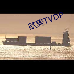 欧美TVDP （照会）