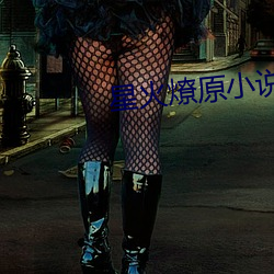 星火燎原小说