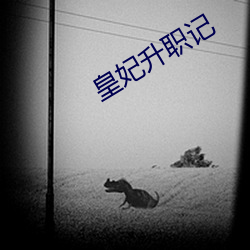 皇妃升职记