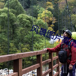 风景图片高清