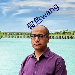 聚色wang