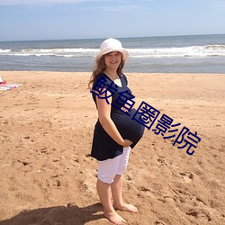 鲅鱼圈影院 （弃道任术）