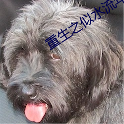 重生之似水流年 （斐然向风）