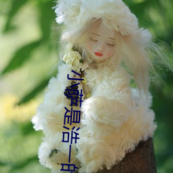 小薩是浩一的兒子嗎