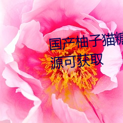國産柚子貓糖心VLOG傳媒無限資源可獲取