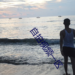 自拍视频一(yī)区