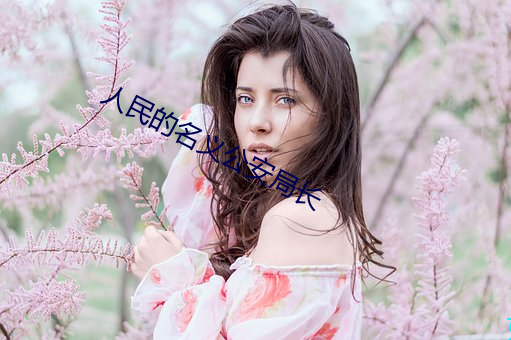 人民的名义公安局长