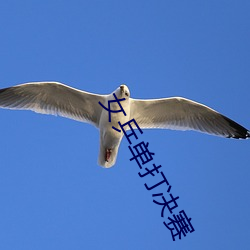 女乒单打决赛(sài)