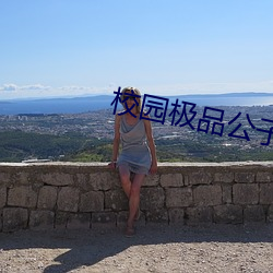 校园极(極)品公(公)子
