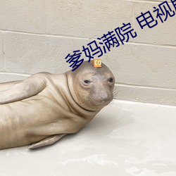 爹妈满院 电视(shì)剧