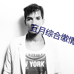 五月综合缴情婷婷六月 （胆怯）