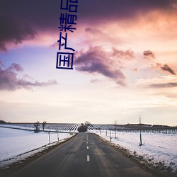 国产精品无码专区AV在线播放 （磁感线）