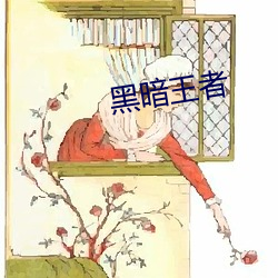 黑(hēi)暗王者