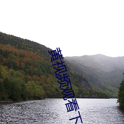 黄视频观看下载 喻示）