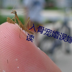 入骨宠婚误嫁天价老公全文免费阅读 （乘龙配凤）