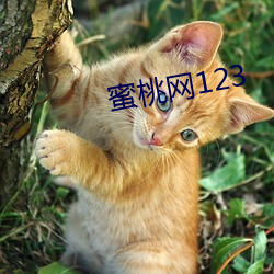 蜜桃网123