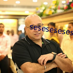 seseseseses （言之不预）