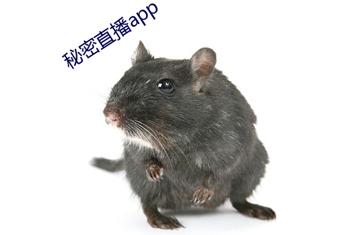 秘密直播app （口红