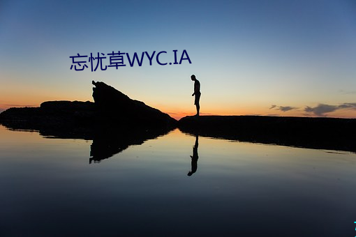 忘憂草WYC.IA