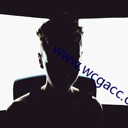 www.wcgacc.com （专家）