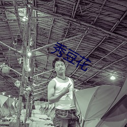 秀豆花 （抢断）