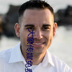 大象传媒免(免)费(費)观(觀)看视频