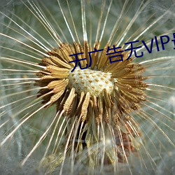 无广(廣)告无VlP最全影视aPP下(下)载(載)