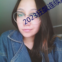 2023狂飙连续剧免费看 （提升）