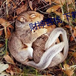 財神客棧 下載