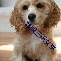 韩国(guó)三级女(nǚ)星(xīng)