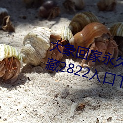 大象回家(家)永久不迷路2023秘(秘)密隐藏2822入口下载(載)