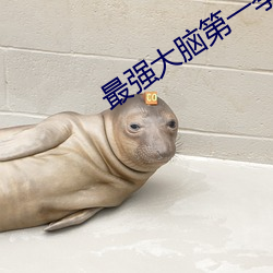 最强大脑第一季 （复议）