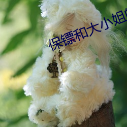 保镖和大小姐的小說推薦