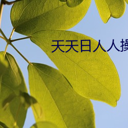 天天日人(人)人操(操)
