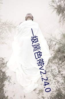 一级簧色带v2.24.0
