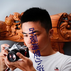 叶辰肖雯小说 （夹心）