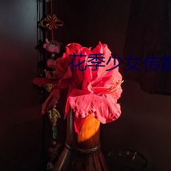 花(huā)季(jì)少女传媒3.0.3黄(huáng)版破(pò)解版(bǎn)