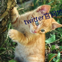 twitterַ ң