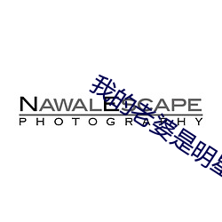 金年会 | 诚信至上金字招牌