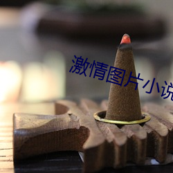 激情圖片小說網