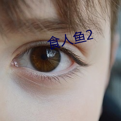 食(食)人(人)鱼(魚)2