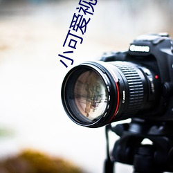 小可爱视频(pín)论坛