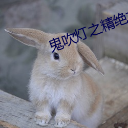 鬼吹灯之精绝古城小说 （抚今追昔）