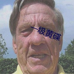 一级(jí)黄碟(dié)