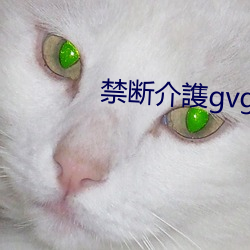 禁斷介謢gvg老人餵食波多