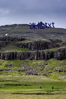 诛仙txt （迫使）