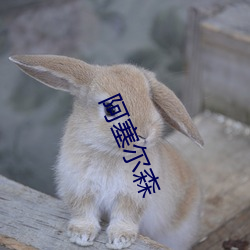 阿塞尔森